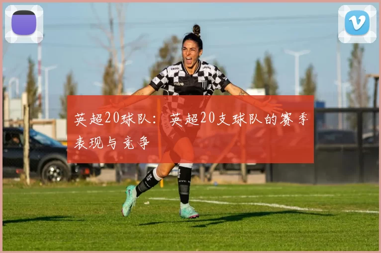 英超20球队：英超20支球队的赛季表现与竞争