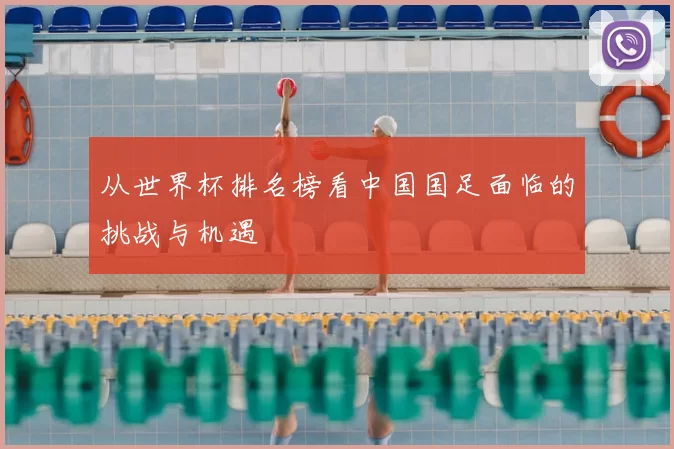 从世界杯排名榜看中国国足面临的挑战与机遇