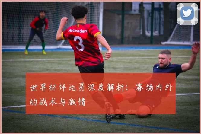 世界杯评论员深度解析:赛场内外的战术与激情