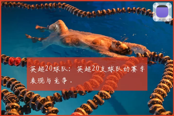 英超20球队:英超20支球队的赛季表现与竞争 .