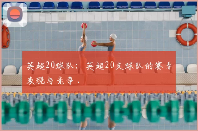 英超20球队:英超20支球队的赛季表现与竞争 .