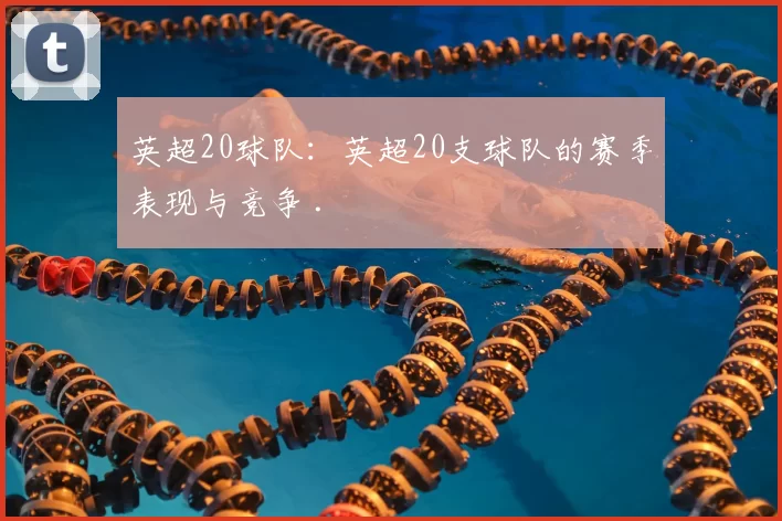 英超20球队：英超20支球队的赛季表现与竞争 .