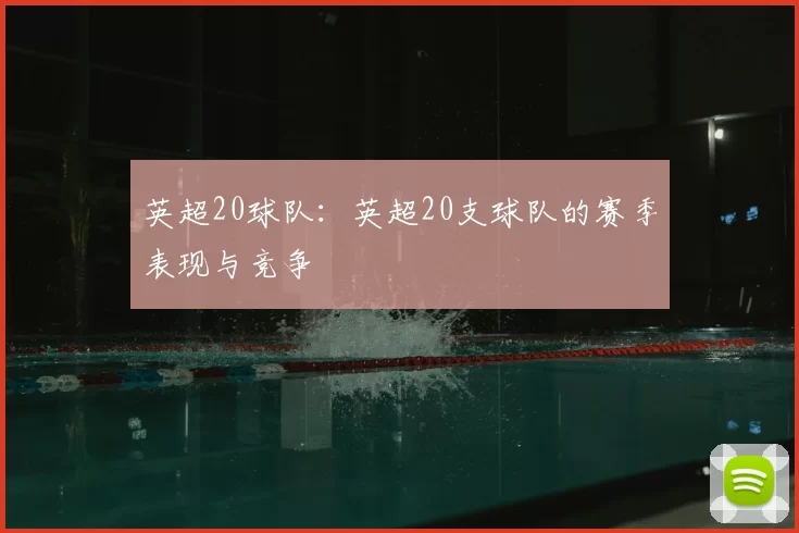 英超20球队：英超20支球队的赛季表现与竞争