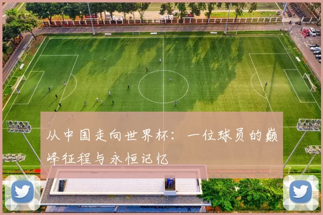 从中国走向世界杯：一位球员的巅峰征程与永恒记忆