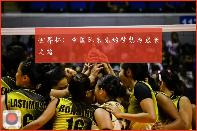 世界杯:中国队未竟的梦想与成长之路
