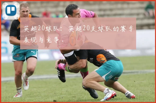 英超20球队：英超20支球队的赛季表现与竞争 .
