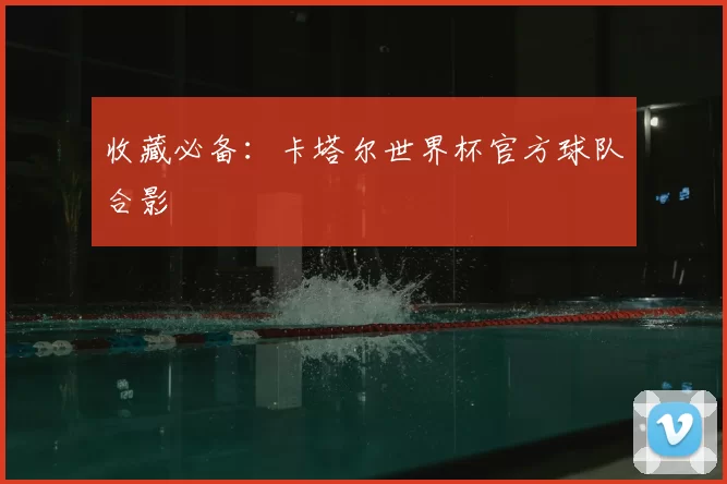 收藏必备:卡塔尔世界杯官方球队合影