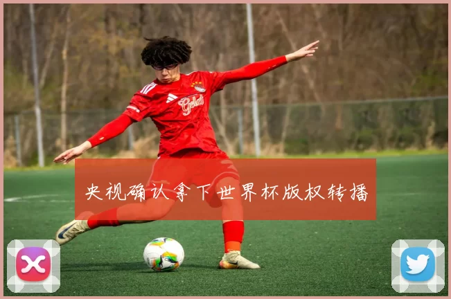 央视确认拿下世界杯版权转播