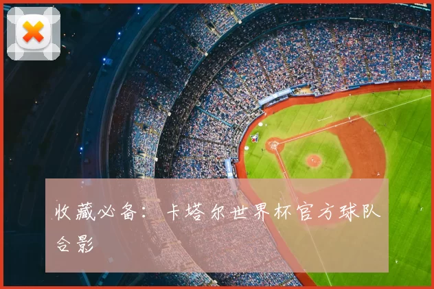 收藏必备:卡塔尔世界杯官方球队合影