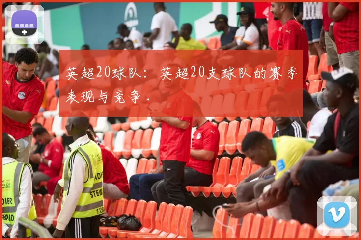 英超20球队：英超20支球队的赛季表现与竞争 .