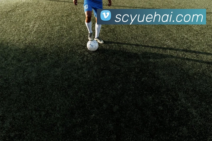 App Interface Preview