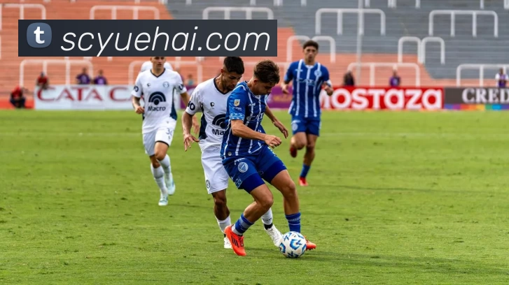 买球官网APP 封面图